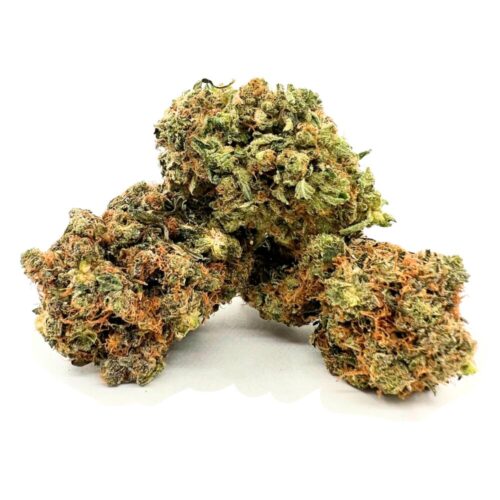 An image of golden goat strain with a white background