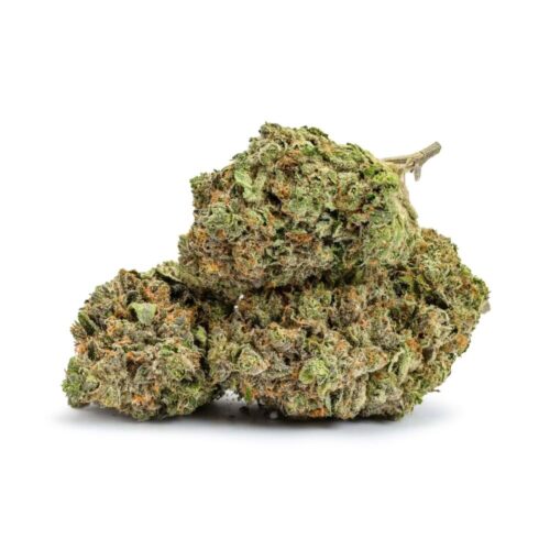 Three buds of Citrus Kush on white background