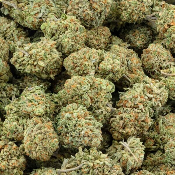 A bag of Dutch Dragon green buds