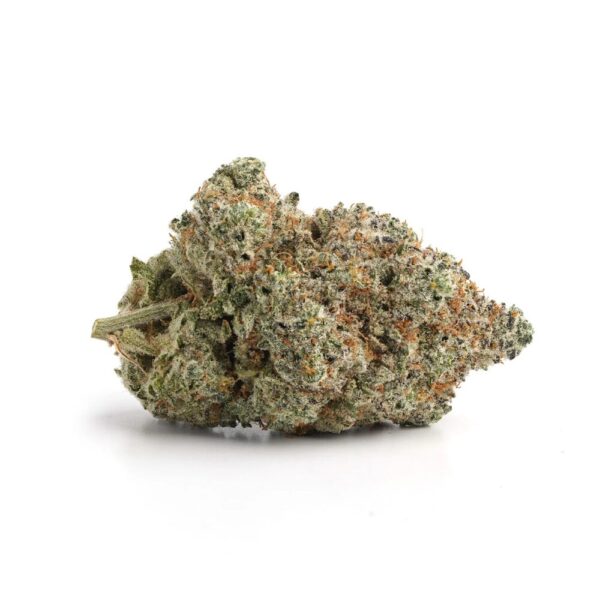 An image of PH White Widow Bud on White Background