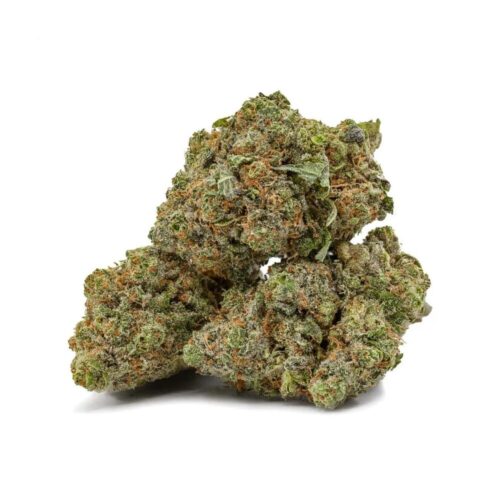 A photo of pink kush strain with 3 buds and white background