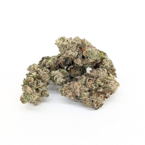 Blueberry punch bud product photo with white background