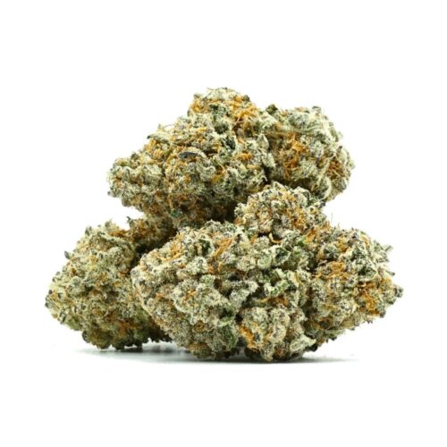 An image of durban poison buds with white background