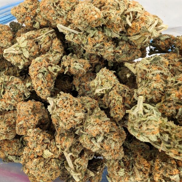 A image of el chapo strain buds in a bag