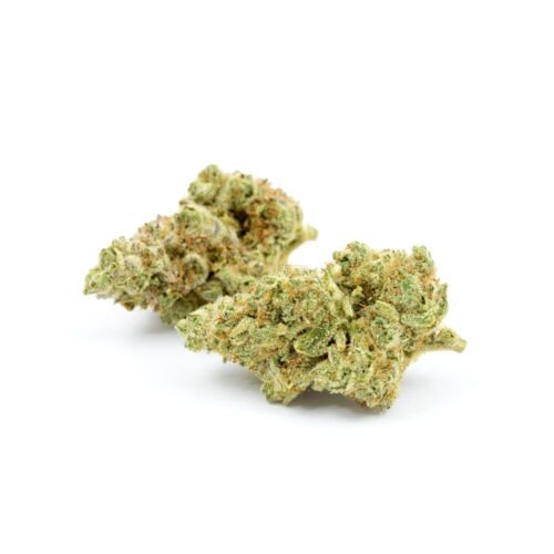 Ultra Sour strain bud photos with white background