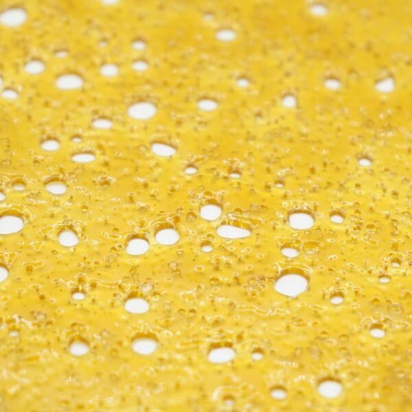 A close-up of Venom OG Hybrid Shatter, showcasing its golden, translucent texture with crisp, clean breaks. Ideal for dabbing, vaping, or mixing with flower.