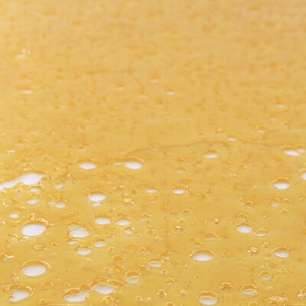 A close-up of Strawberry Cough Sativa Shatter, displaying its golden, glass-like texture with crisp, clean breaks. Ideal for dabbing, vaping, or enhancing flower.