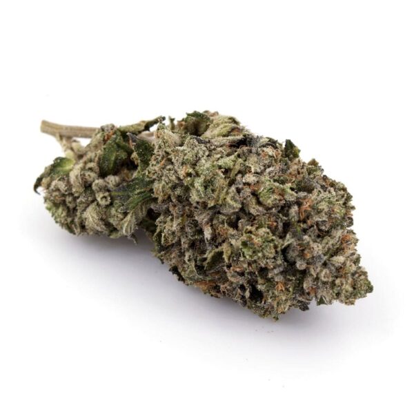 a bud of lindsay og strain
