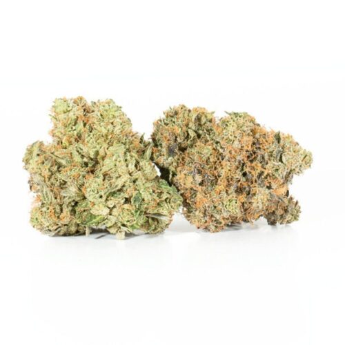 An image of 2 buds of blueberry cheesecake strain