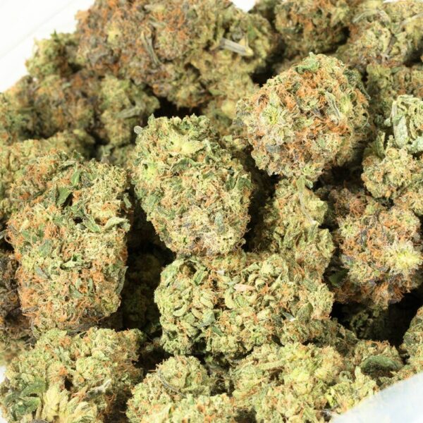 Bag close up photo of bruce banner