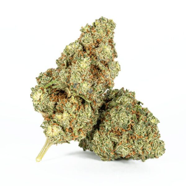 An image of a few buds of jealousy strain