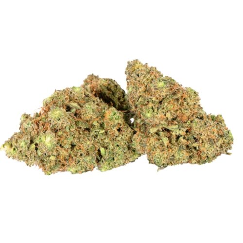 An Image of Mandarin Cookies strain