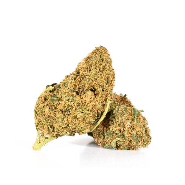 An image of two OG Kush online buds on a white background