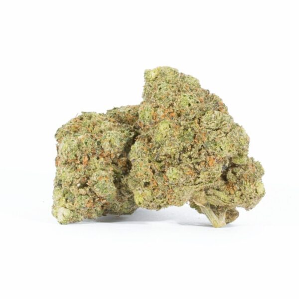 Buds on a white background of oreoz strain