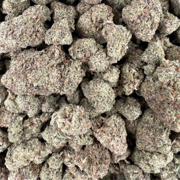 close up of purple haze strain buds