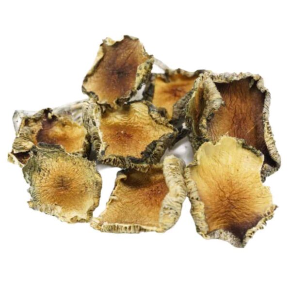 Blue Meanie Magic Mushrooms