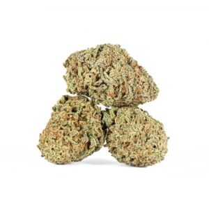 An image of 3 buds of blue hawaiian strain on a white background