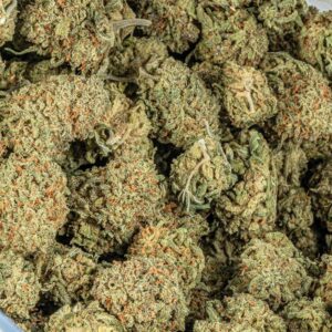 A close up image of blue hawaiian buds