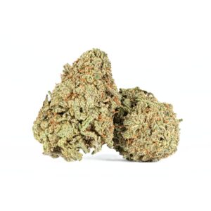 An image of two buds of blue hawaiian
