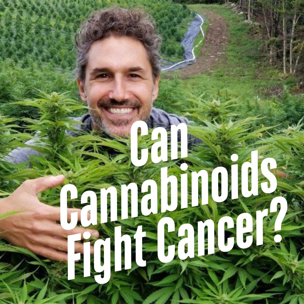 Can cammaninoids fight cancer blog image