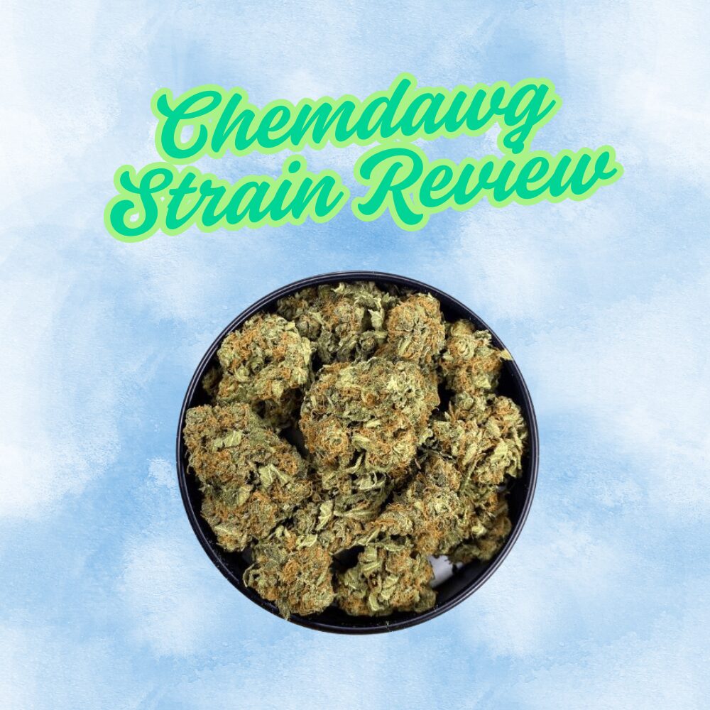 Opening banner image for chemdawg strain review