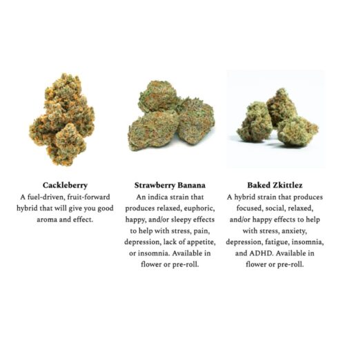 Example of 3 strains