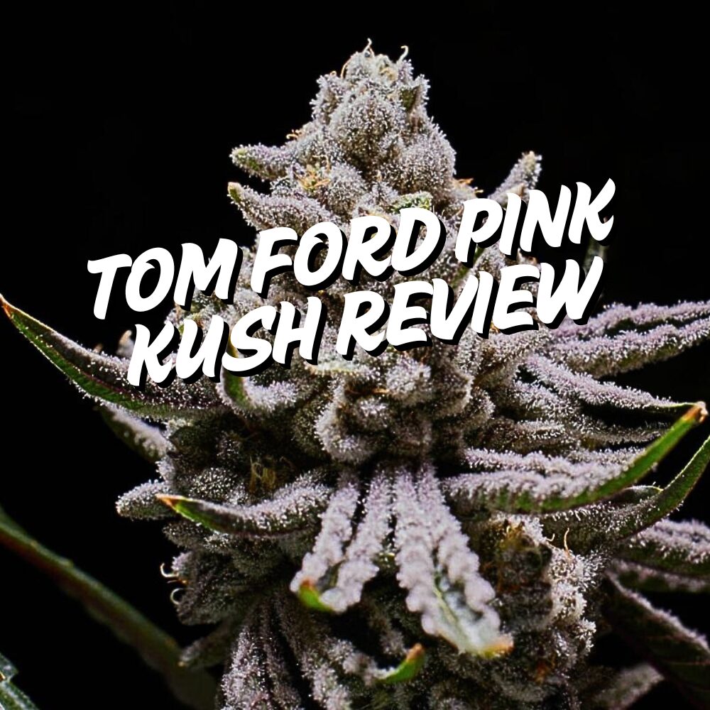 Main page image for tom ford pink kush review