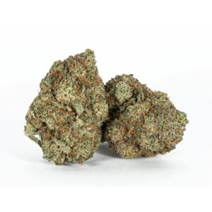 two cherry Mac buds