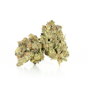 two peach crescendo buds
