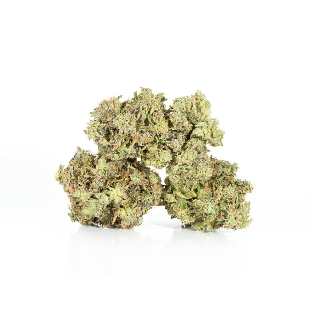 Pluto Strain Potent Indica Hash Online Canada pluto-strain-potent-indica-hash-online-canada