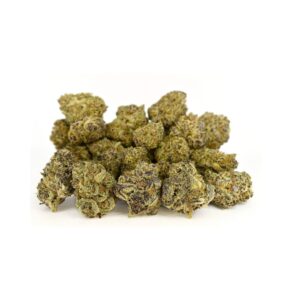 Mac and cheese strain