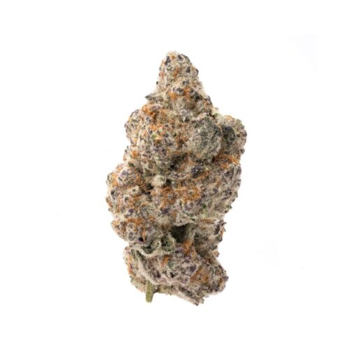 hippie crasher bud