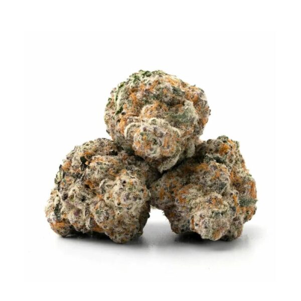 hippie crasher 3 buds