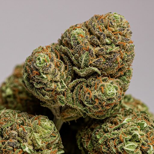 cannabis buds