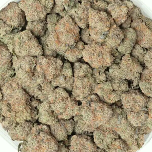 venom og buds up close