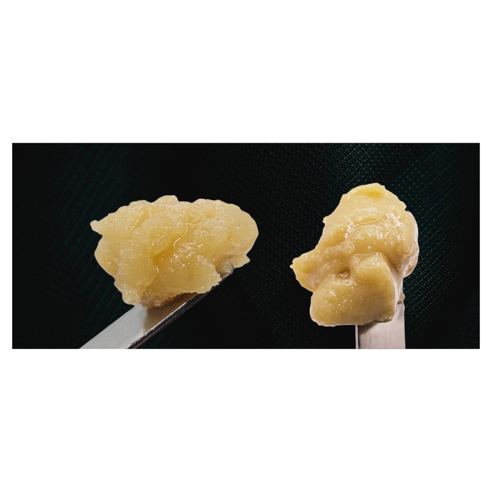 live hash rosin
