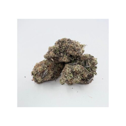 Georgia pie strain