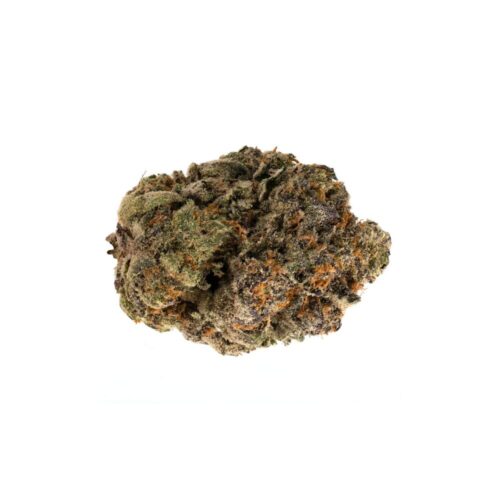 Jet Fuel Gelato bud