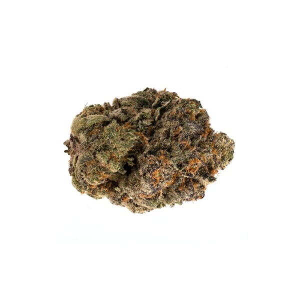 Jet Fuel Gelato bud