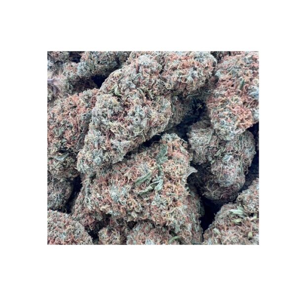 amnesia strain bag photo