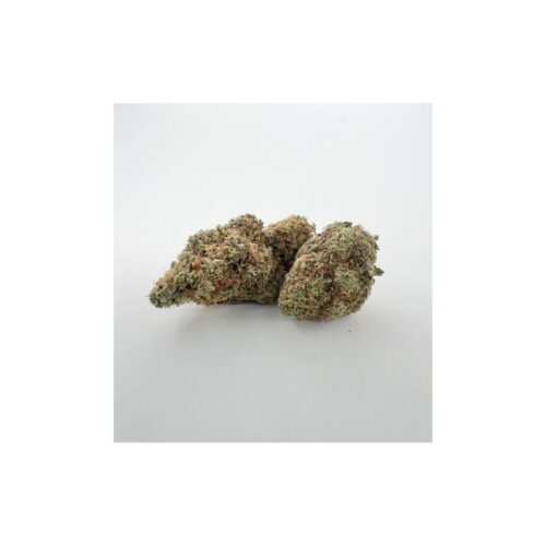 amnesia strain buds