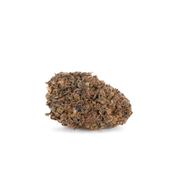 berry cream puff bud