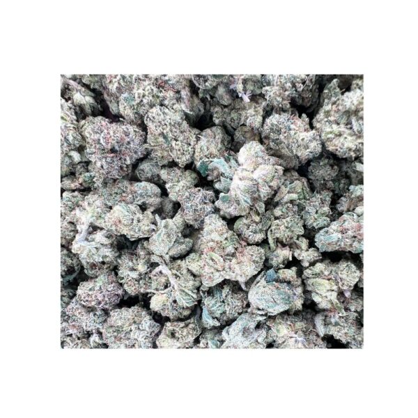 bubblegum strain bag photo