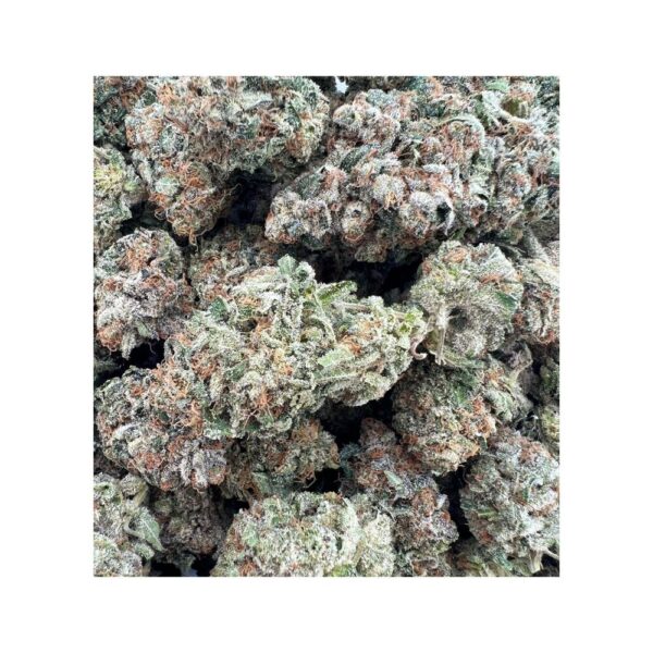 dosido strain bag photo