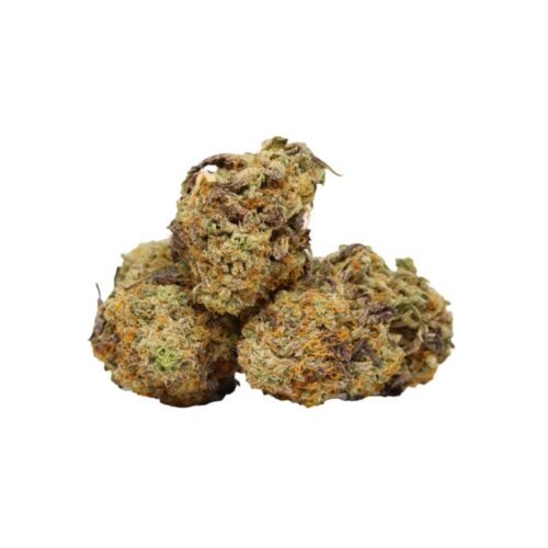 forbidden fruit buds