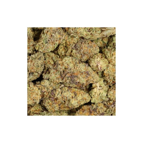 forbidden fruit buds