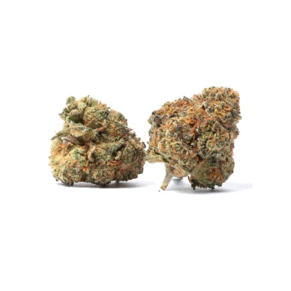 kush cookies strain