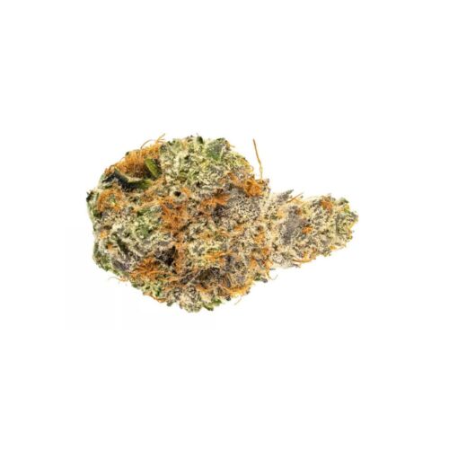 kush cookies strain