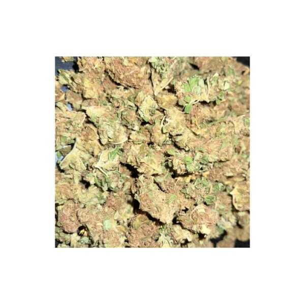 tropical cookies bag photo