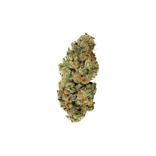 tropical cookies bud